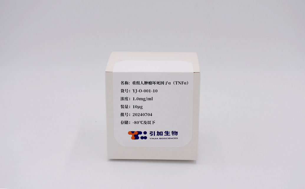 重组人肿瘤坏死因子α（TNFα）