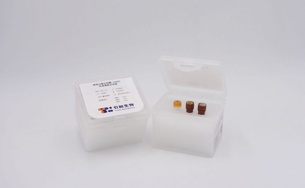 辣根过氧化物酶(HRP)快速偶联试剂盒