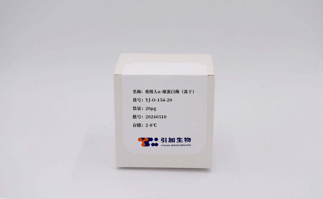 重组人α-糜蛋白酶(冻干)