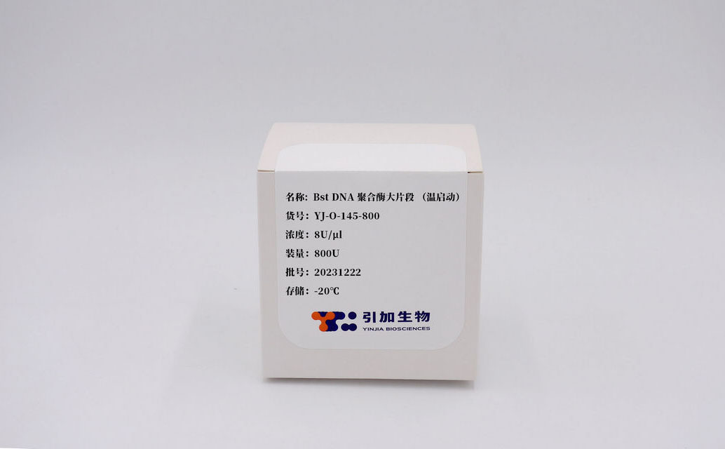 Bst DNA 聚合酶大片段 (温启动)