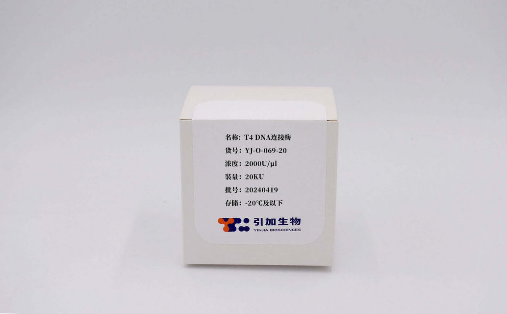 T4 DNA连接酶