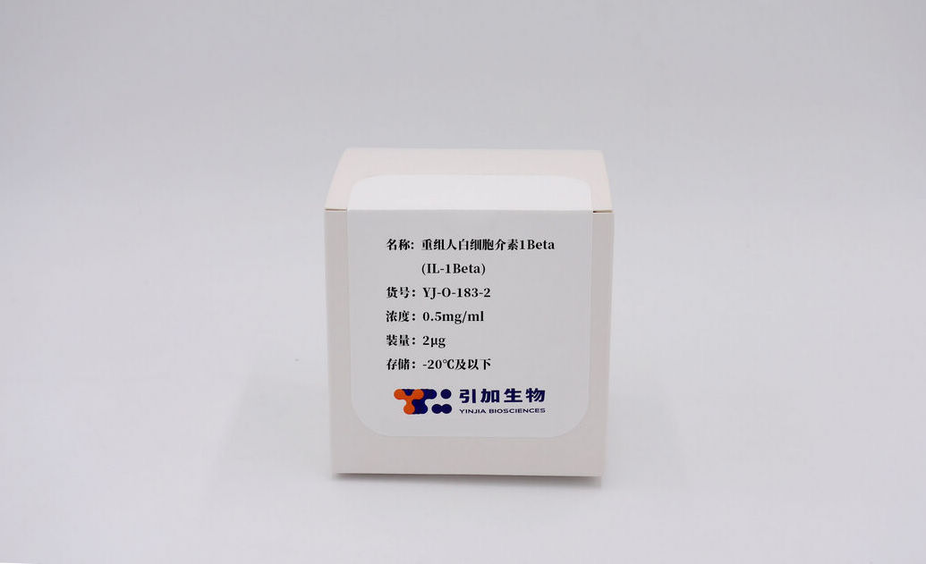 重组人白细胞介素1 Beta(IL-1 Beta)