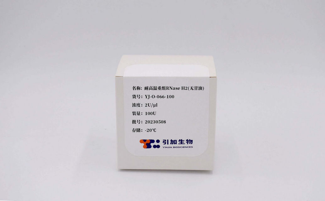 耐高温重组RNase H2(无甘油)