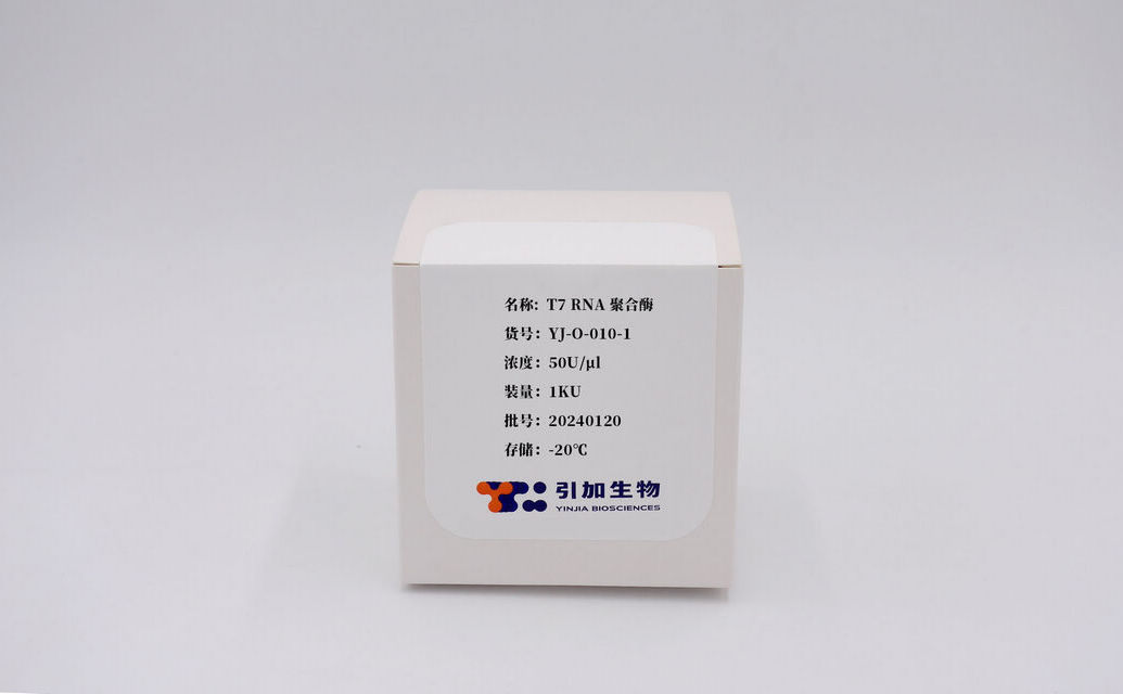 T7 RNA 聚合酶